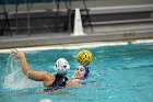 WWPolo vs CC  Wheaton College Women’s Water Polo compete in their sports inaugural match vs Connecticut College. - Photo By: KEITH NORDSTROM : Wheaton, water polo, inaugural